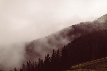 Nebelstimmung Herbst Berge