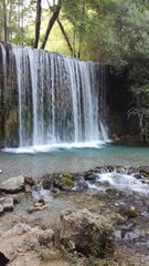 waterfall in the forest