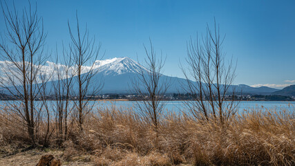A Beautiful Scenery Of Mount Fuji