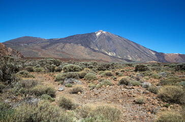 Fototapeta na wymiar Parc national, Volcan Teide, Ile de Tenerife, Iles Canaries, Espagne
