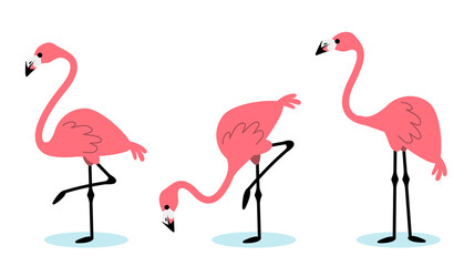 Vector set of illustration of beautiful pink flamingo in different pose on white background with shadow.