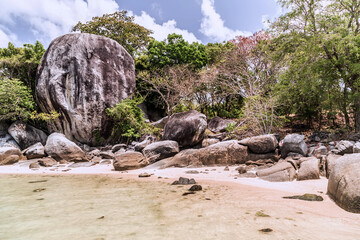Beach sand Seychelles mangrove forests