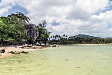 Beach sand Seychelles mangrove forests