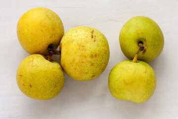 Asian Pear Shinseiki (Pyrus pyrifolia) on a table. Fresh, tasty fruits from own garden.