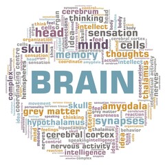 Brain vector illustration word cloud isolated on a white background.