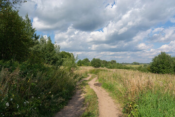 Dirt road in a field with grass and green bushes and trees against a blue sky