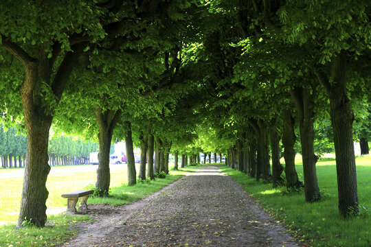 France Paris Meudon Royal Castle garden