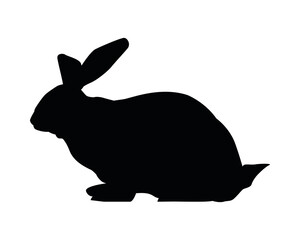 cute wild rabbit animal nature silhouette