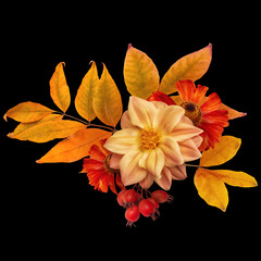 Fall floral arrangement, bouquet of autumn flowers and leaves isolated on black background.