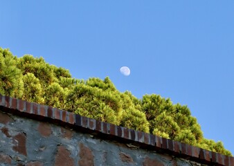 The moon above the walls of the castle at Le Suquet, Cannes