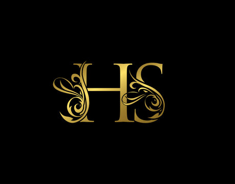 Gold H,S and HS Luxury Letter Logo Icon. Graceful royal style. Luxury alphabet arts logo.