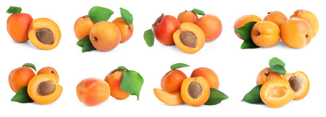 Set of fresh apricots on white background. Banner design