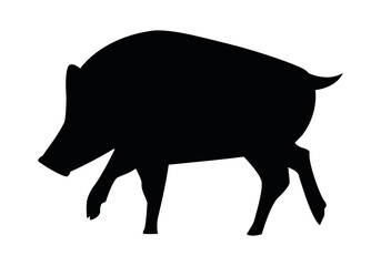 wild pig animal nature silhouette