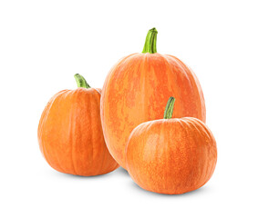 Many fresh ripe pumpkins isolated on white