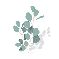 Vector stock illustration of eucalyptus leaves. Delicate tropical leaves for the bride's bouquet. A branch of mint-colored flowers. Spring or summer flowers for invitation, wedding or greeting cards. 