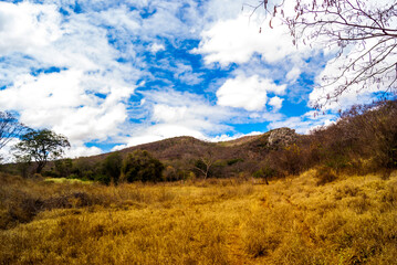 Fototapeta premium mountain