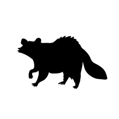 Raccoon vector silhouette. Black shadow illustration of forest animal.