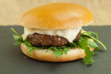  Ravvicinato di panino con carne, formaggio e verdure