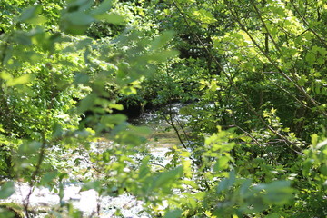 Le cirque de consolation et ses alentours