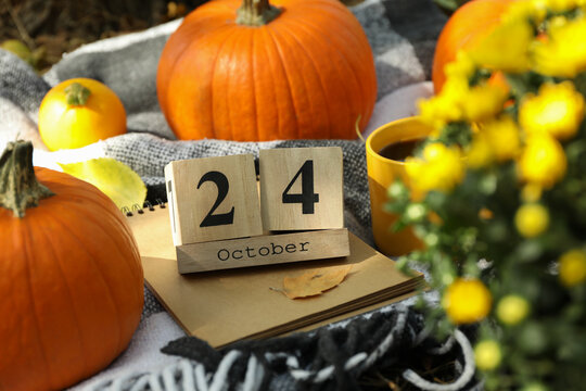Concept of 24 october with pumpkins outdoor