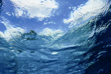 Underwater view of the water surface. Underwater background.