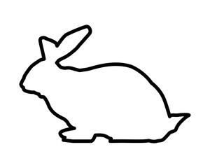 cute wild rabbit animal nature silhouette