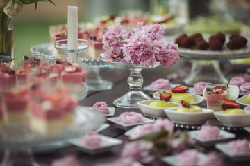 Tasty desserts, cakes and pastry on the wedding sweet buffet