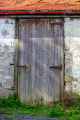 Rustic old wooden shed door with rusty metal lock and hinges and red corrugated metal roof. Aged weathered vintage outbuilding wall and overgrown weeds