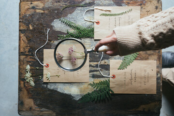 Herbarium On The Table With Paper Tags