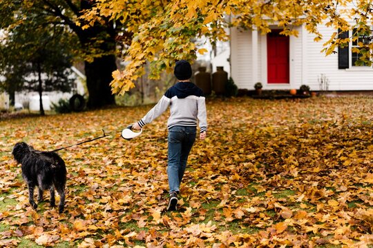 boy and dog walking une maple tree