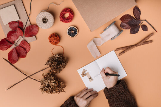 Woman Making Herbarium