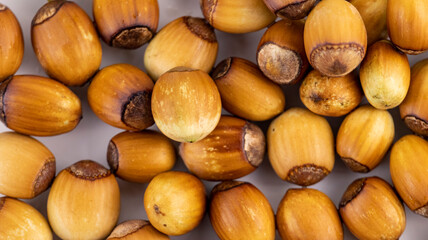 ripe hazelnut on a white background macro photography, texture backgrounds, soft focus