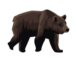 wild bear beast animal icon