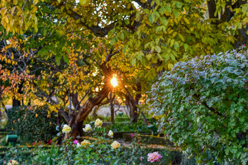 Atardecer en el parque