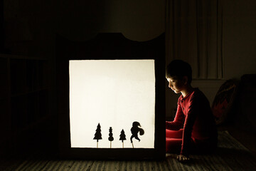 Santa Claus Shadow Show