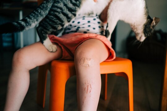 toddler and her cat