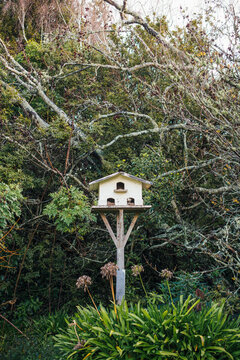 Large white bird house