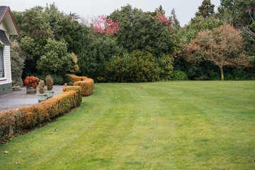 Manicured garden with a small bunny
