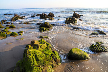 a gorgeous set of rocks at the beach covered in lush green algae with ocean waves rolling in at El...