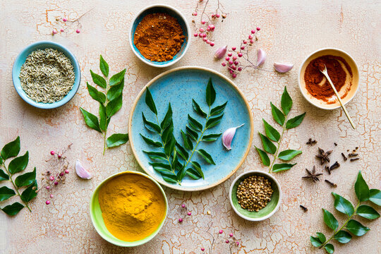 Culinary spices and herbs with curry leaves