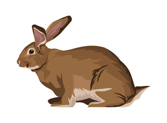 cute wild rabbit animal nature icon