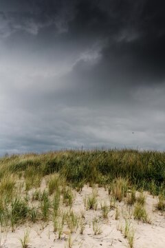 stormy day at hte beach