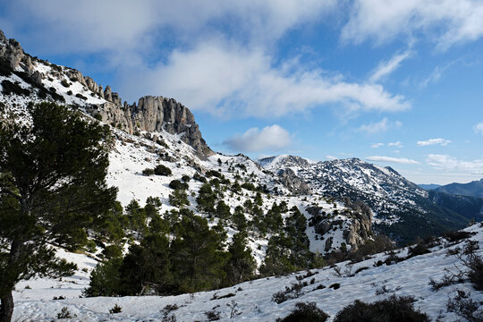 Snow in the mountains.