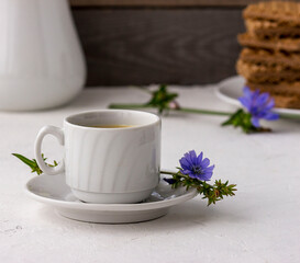 Diet drink chicory in a cup, coffee substitute. Cichorium intybus flower.