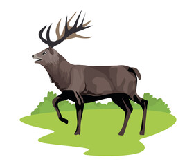 wild reindeer animal nature icon