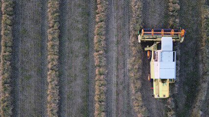 Agricultural harvester in top view while harvesting crops at an agricultural field with copy space