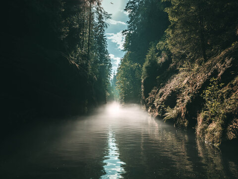 Edmundsklamm Schlucht - B&ouml;hmische Schweiz - bei Hřensko im Wald - Fluss
