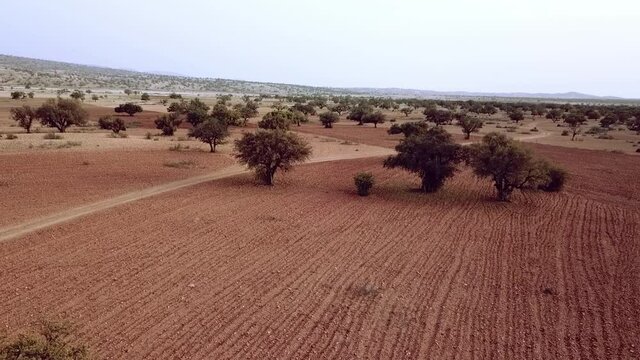 Beautiful Nature of Morocco and an empty Street and Argan Trees near Marrakesh by Drone from above (Aerial Footage by Drone). See my Portfolio for more Morocco Drone footages
