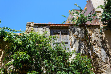 the facade of an old house with closed shutters overgrown with bushes