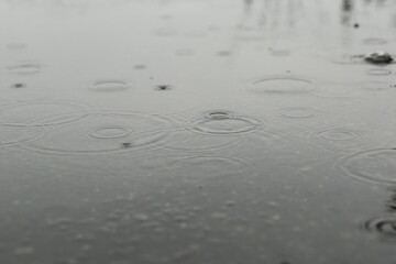 raindrops in a puddle on the road.